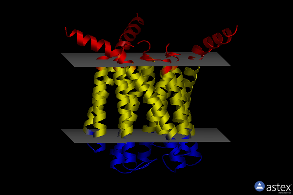 Membrane view of 3b29