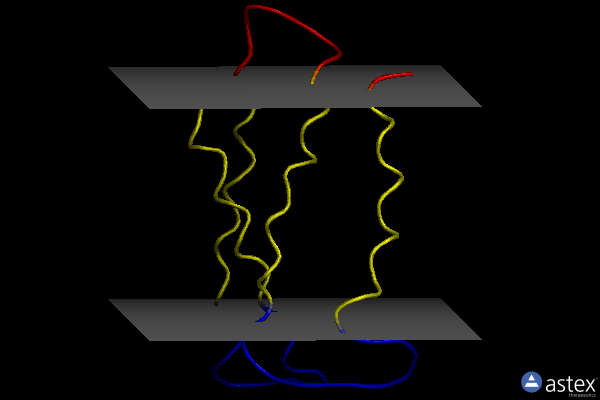 Membrane view of 3b5d