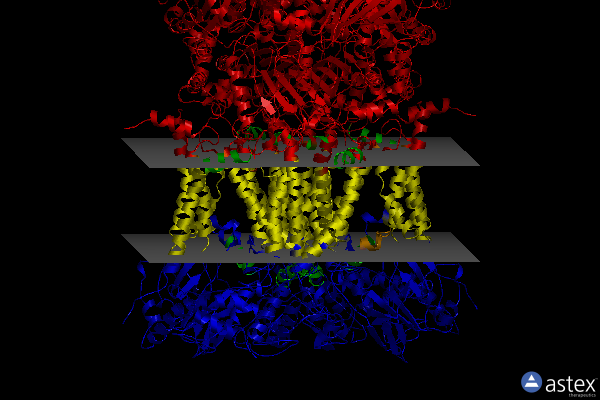 Membrane view of 3bcc