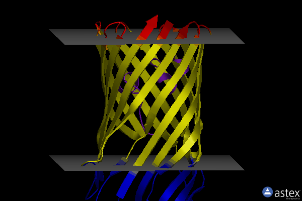 Membrane view of 3bry