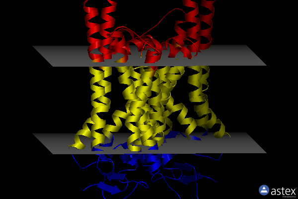 Membrane view of 3cap