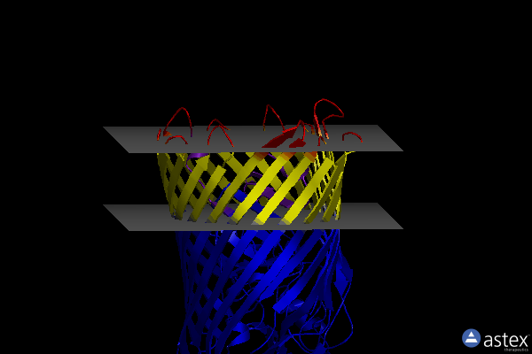 Membrane view of 3csl