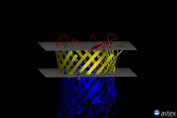 Membrane view of 3csn