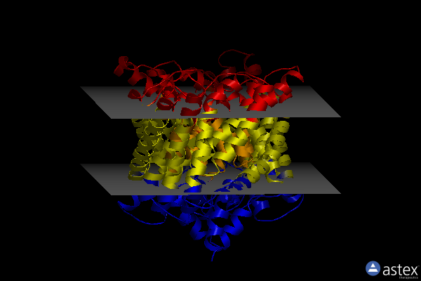 Membrane view of 3det
