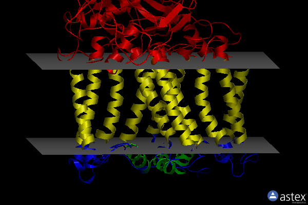Membrane view of 3dta