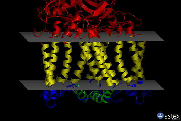 Membrane view of 3dtr