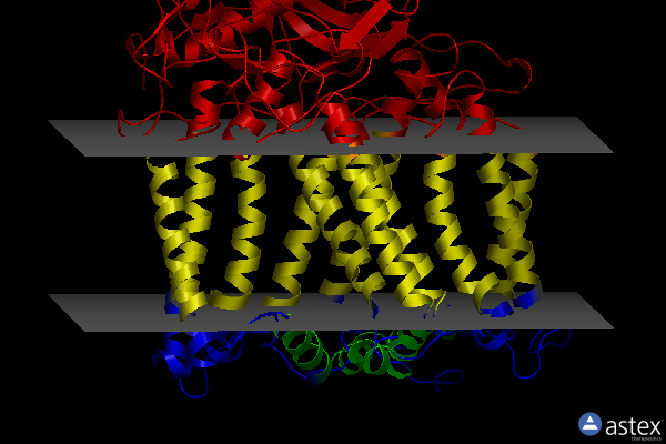 Membrane view of 3du3