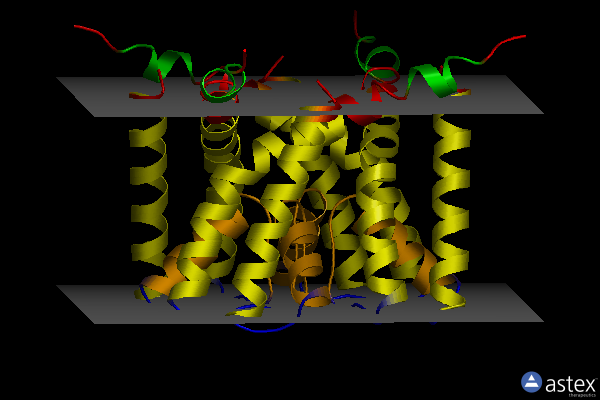 Membrane view of 3e8b
