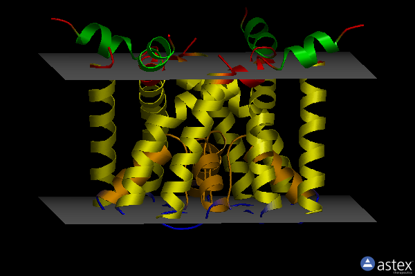 Membrane view of 3e8h