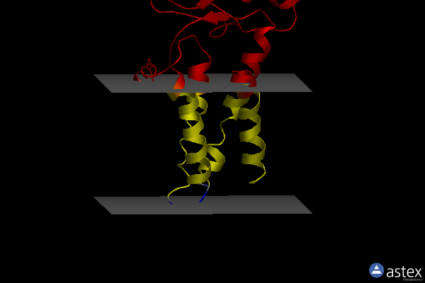 Membrane view of 3e9j