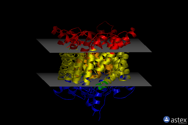 Membrane view of 3ejy