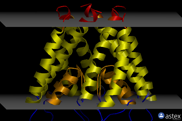 Membrane view of 3f7y