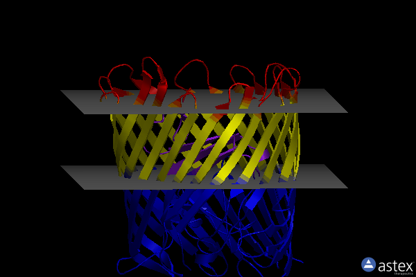 Membrane view of 3fhh