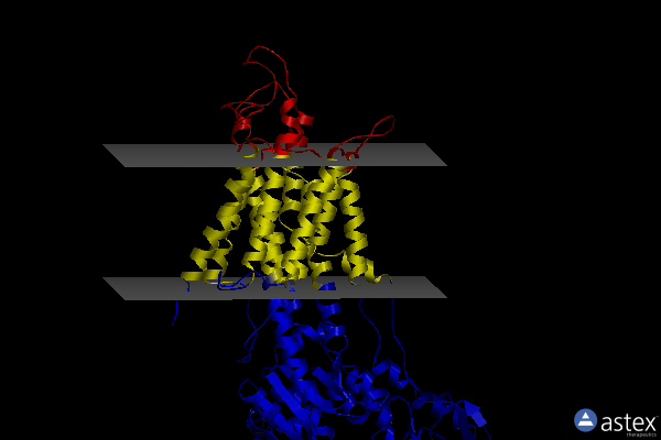 Membrane view of 3fps