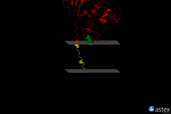 Membrane view of 3fwl