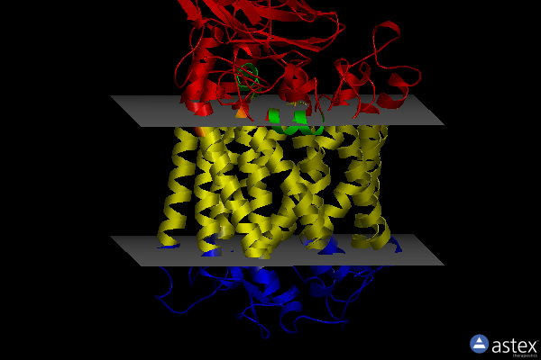 Membrane view of 3fyi