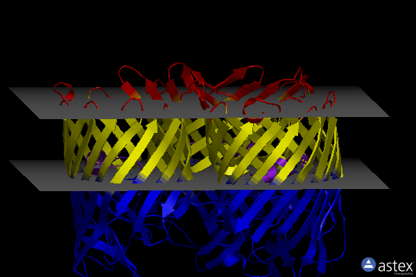 Membrane view of 3fyx