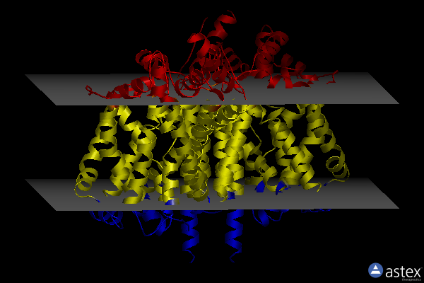 Membrane view of 3gjd