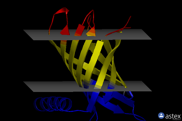Membrane view of 3gp6