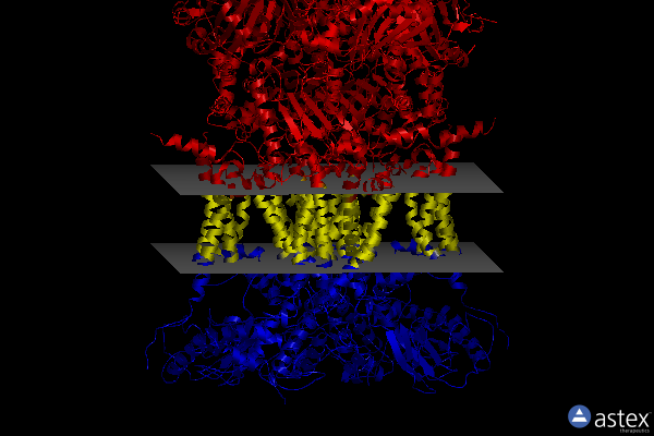Membrane view of 3h1k