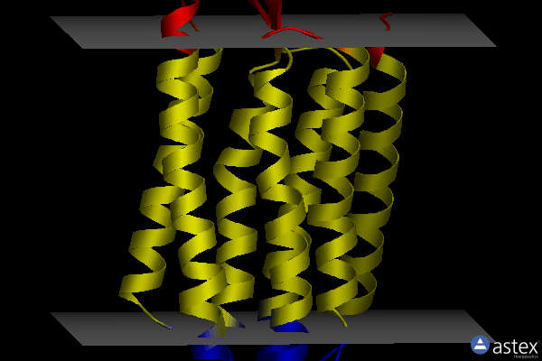Membrane view of 3han