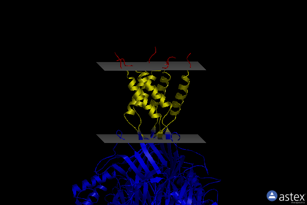 Membrane view of 3ij4