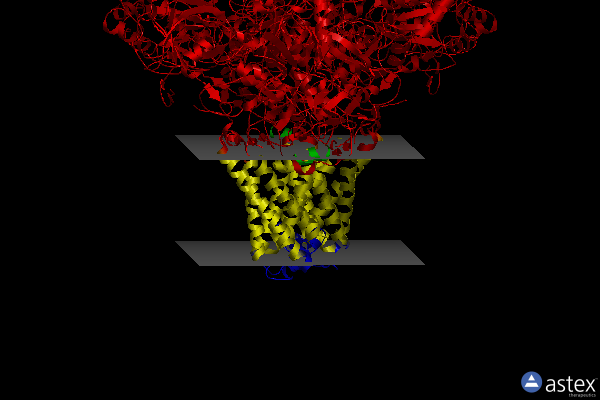 Membrane view of 3ir5