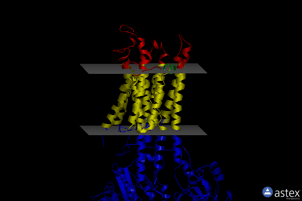 Membrane view of 3j7t