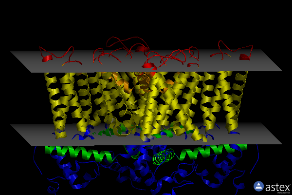 Membrane view of 3j9j