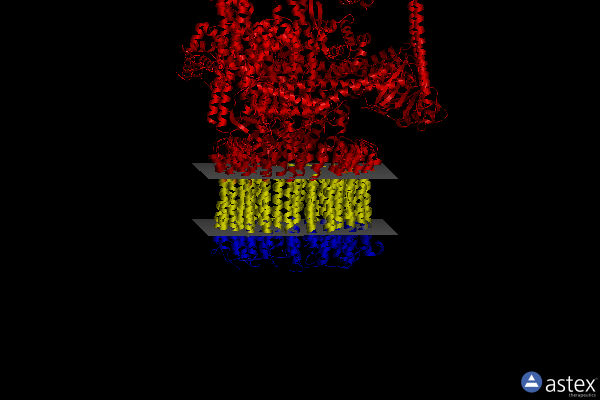 Membrane view of 3j9t