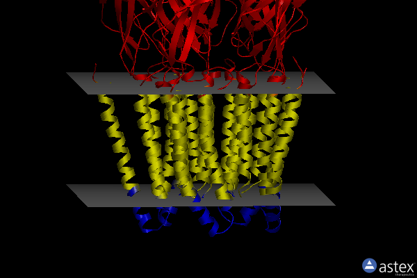 Membrane view of 3jaf