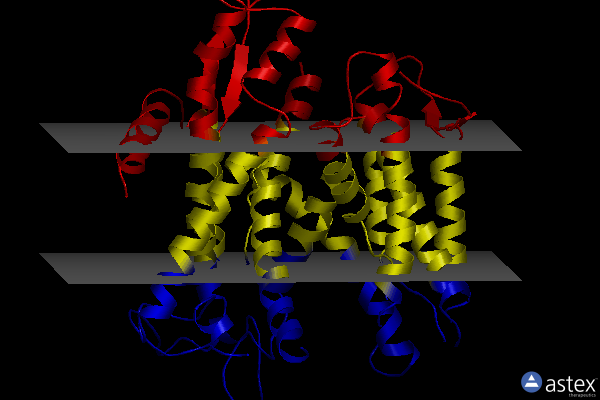 Membrane view of 3jc2