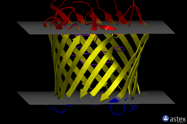 Membrane view of 3jty