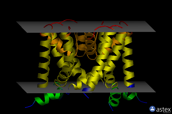 Membrane view of 3k04