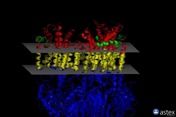 Membrane view of 3k0i