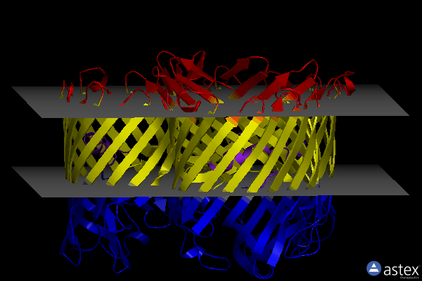 Membrane view of 3k19
