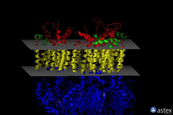 Membrane view of 3kso
