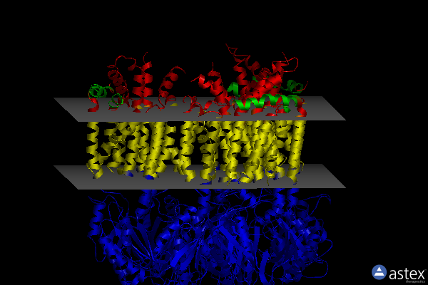 Membrane view of 3kss