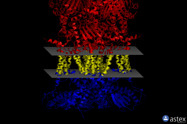 Membrane view of 3l71