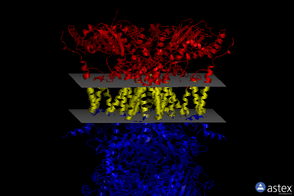 Membrane view of 3l72