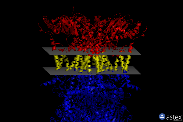 Membrane view of 3l73