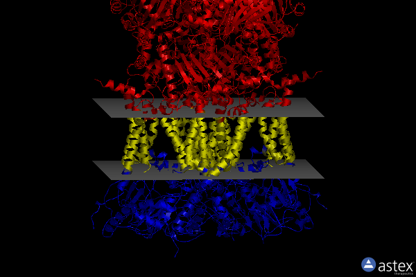 Membrane view of 3l75