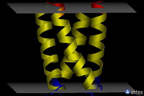 Membrane view of 3lbw