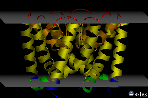 Membrane view of 3ldd