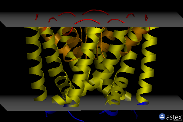 Membrane view of 3lde