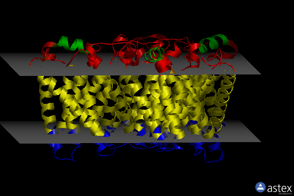 Membrane view of 3m77
