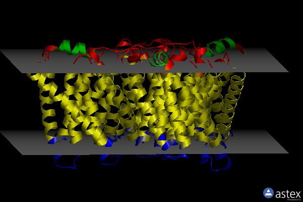 Membrane view of 3m78