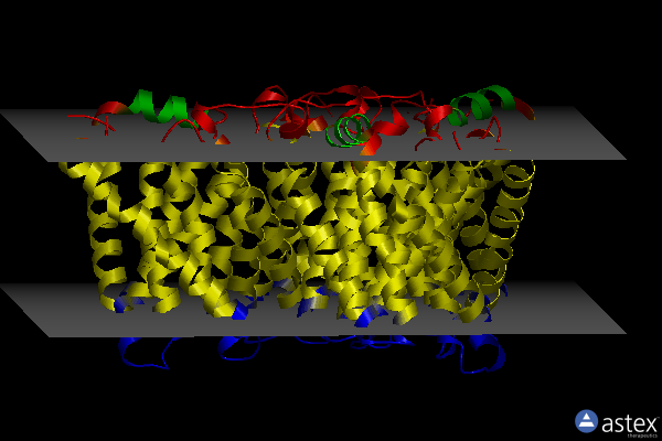 Membrane view of 3m7l