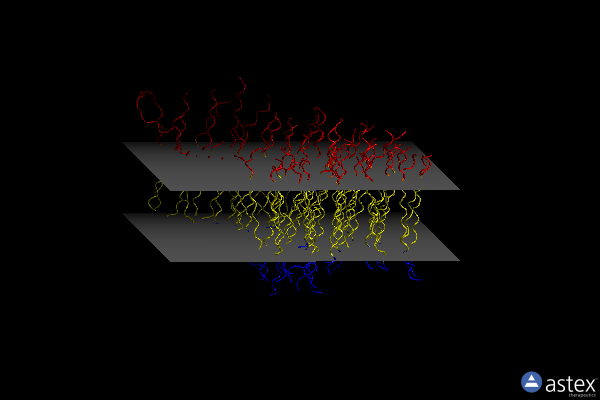 Membrane view of 3m9c