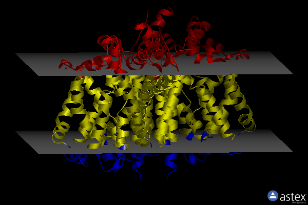 Membrane view of 3mpn